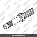 Input Shaft & 1st, 15T (T1187301)