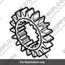Gear, Input, 2nd, 19T (T1187342)