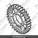 Gear, Output, Third (T1187910)