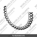 Gear, Output, 1st, 37T (T1189001)