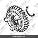 Gear, Output, 6th, 25T (T1189006)
