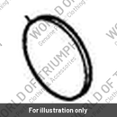 Collar, Detent Arm (T1190192)