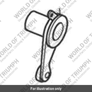 Kit, Detent Arm & Spring (T1190307)
