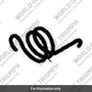 Spring, Detent Arm (T1190923)