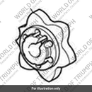 Detent Wheel (T1191412)