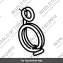 Spring, Detent, Torsion (T1191513)