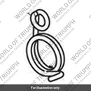 Spring, Detent, Torsion (T1195432)