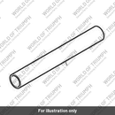 Selector Shaft, Input Gear (T1197005)