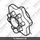 Detent Wheel (T1197200)
