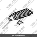 Spring, Detent Arm (T1198004)