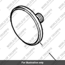 Retaining bolt (T1201525)