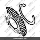 Spring, Balancer, Backlash (T1201549)