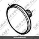 Bolt (T1201555)