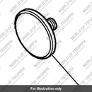 Bolt, Balance Shaft (T1201593)