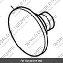 Bolt, Balance Shaft (T1201594)
