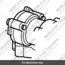 Oil Pump, Twin Rotor (T1210002)