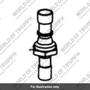 Oil Pressure Switch / Banjo Bolt (T1210111)