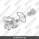 Seal, O-Ring, Cover, Water Pump (T1210171)