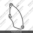Baffle Plate, Crankcase Breather (T1210194)