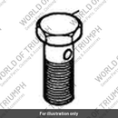 Banjo Bolt, M10 x28 (T1210240)