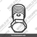 Banjo Bolt, M14 x 28 (T1210241)