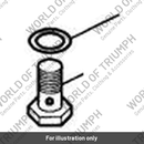 Bolt, Banjo, M6 x 20 (T1210242)