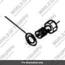 Banjo bolt (T1210446)