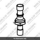 Oil Pressure Switch / Banjo Bolt (T1210500)