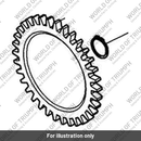 Gear, Oil Pump, 34t (T1210521)