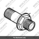 Bolt (T1210905)