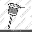 Cap, Filler, Oil Tank (T1213000)