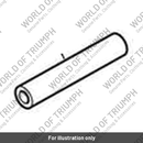 Starter Idler Shaft, Second (T1223223)