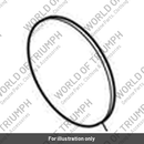 Thrust Washer, Starter (T1226556)