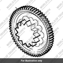 Gear, Starter Idler (T1226666)