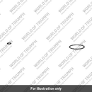 Gasket, Sump (T1230069)