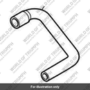 Hose, Evap, Purge, Can (T1240266)