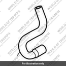 Hose, Evap, Purge, Valve (T1240267)