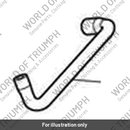 Hose, Evap, Purge (T1240311)