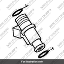 Lower O Ring, Injector (T1240355)