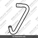 Hose, Purge, Throttle Bodies (T1240407)