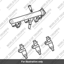 Fuel Rail Assembly (T1240508)