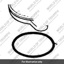 O ring (T1240557)