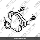 Screw Position Sensor (T1240567)