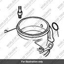 O Ring, Air Screw (T1240571)