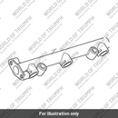 Fuel rail (T1240810)