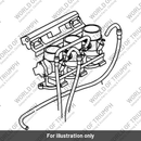 Hose (T1240883)