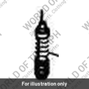 Kit screw (T1241030)