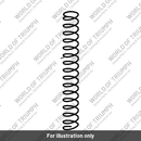 Spring, Vacuum Piston (T1241072)