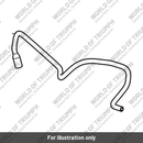 Hose, Solenoid to Throttle Body (T1241123)