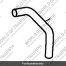 Hose, Evap, Purge (T1241245)